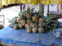 Frische Babyananas &ndash; &copy; Vicky Kern (Eberhardt TRAVEL)