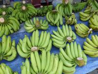Bananen &ndash; &copy; Vicky Kern (Eberhardt TRAVEL)