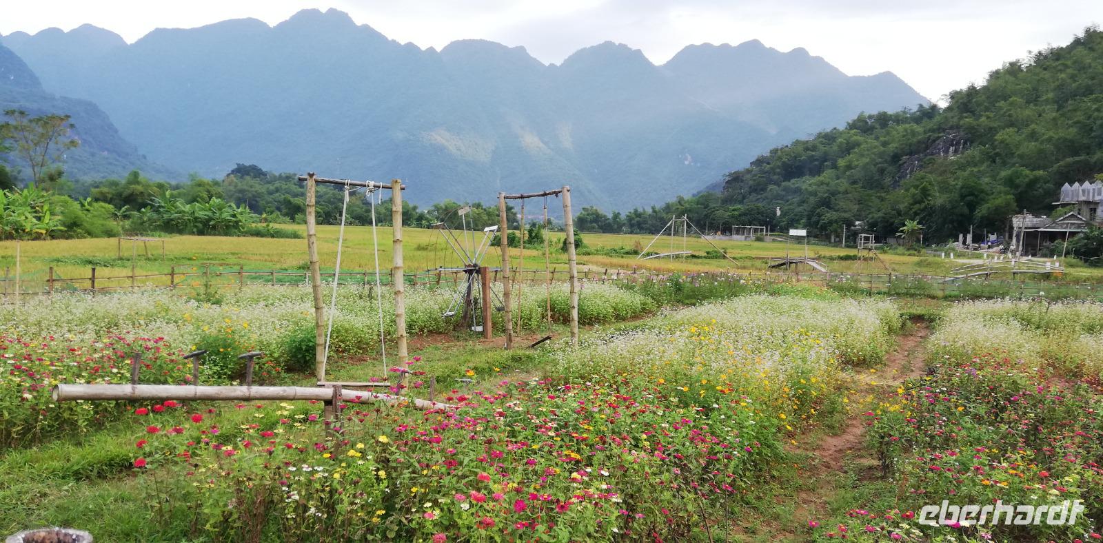 Spielplatz und Blumenwiese-Mai Chau &ndash; &copy; Elena Hinz (Eberhardt TRAVEL)