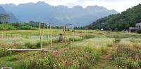 Spielplatz und Blumenwiese-Mai Chau &ndash; &copy; Elena Hinz (Eberhardt TRAVEL)