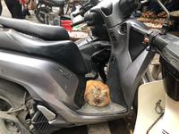 Hanoi &ndash; &copy; Sabine Letzybyll (Eberhardt TRAVEL)