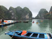 Halong Bucht &ndash; &copy; Sabine Letzybyll (Eberhardt TRAVEL)