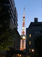 Tokio &ndash; &copy; Sabine Letzybyll (Eberhardt TRAVEL)
