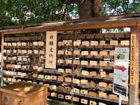 Meji Schrein Tokio &ndash; &copy; Sabine Letzybyll (Eberhardt TRAVEL)