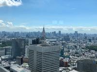 Tokio &ndash; &copy; Sabine Letzybyll (Eberhardt TRAVEL)