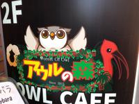Tokio Eulencafé &ndash; &copy; Sabine Letzybyll (Eberhardt TRAVEL)