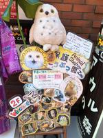 Tokio Eulencafé &ndash; &copy; Sabine Letzybyll (Eberhardt TRAVEL)