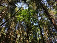 Vancouver Kanada &ndash; &copy; Sabine Letzybyll (Eberhardt TRAVEL)