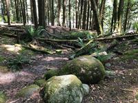 Vancouver Kanada &ndash; &copy; Sabine Letzybyll (Eberhardt TRAVEL)