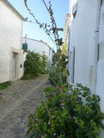 Ile de Re - die inseltypischen Stockrosen &ndash; &copy; Petra Scherbaum (Eberhardt TRAVEL)