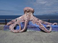 Cadiz  &ndash; &copy; Hans-Joachim Trutz (Eberhardt TRAVEL)
