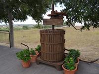 Weingut 