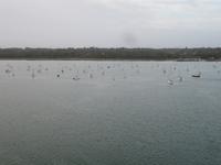 1. Hafen - wir nähern uns Southampton &ndash; &copy; Anne Schröder (Eberhardt TRAVEL)