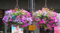 London &ndash; &copy; Kerstin Hugel (Eberhardt TRAVEL)
