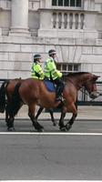 DSC_0156  berittene Polizei London &ndash; &copy; Kerstin Veit (Eberhardt TRAVEL)