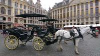 DSC_0288  am Grande Place &ndash; &copy; Kerstin Veit (Eberhardt TRAVEL)