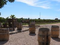 Mallorca - Weingut José L. Ferrer &ndash; &copy; Annette Weise (Eberhardt TRAVEL)
