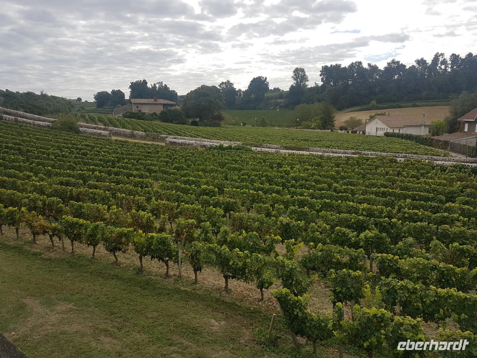 4. Saint Emilion &ndash; &copy; Florian Härtl (Eberhardt TRAVEL)
