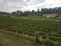 4. Saint Emilion &ndash; &copy; Florian Härtl (Eberhardt TRAVEL)