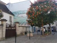 27. Beaune &ndash; &copy; Florian Härtl (Eberhardt TRAVEL)