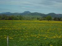 Liebliche Auvergne &ndash; &copy; Peter Rudolph (Eberhardt TRAVEL)