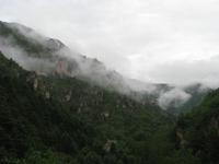 Tarn-Schlucht