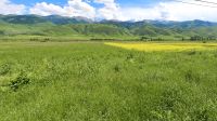 0123-Im Tschon-Kemin-Nationalpark &ndash; &copy; Gernod Loose (Eberhardt TRAVEL)