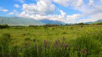 0132-Tschon-Kemin-Nationalpark &ndash; &copy; Gernod Loose (Eberhardt TRAVEL)