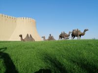 Stadtrundgang durch Turkestan &ndash; &copy; Andrej Kulikov (Eberhardt TRAVEL)