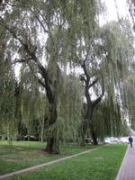 Stadtrundgang Bishkek - im Eichenpark &ndash; &copy; Sylvia Ott (Eberhardt TRAVEL)