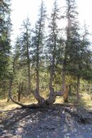 Ala Artscha Naturpark &ndash; &copy; Sylvia Ott (Eberhardt TRAVEL)
