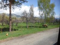 Unterwegs: Dorf-Idylle aus dem Bus-Fenster &ndash; &copy; Birgit Hornung (Eberhardt TRAVEL)