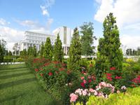 Blumenpflanzungen &ndash; &copy; Julian Bartsch (Eberhardt TRAVEL)