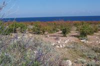 Issyk Kul &ndash; &copy; Simone Voigt (Eberhardt TRAVEL)