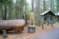 54  Logging Museum &ndash; &copy; Susanne Schirmann (Eberhardt TRAVEL)
