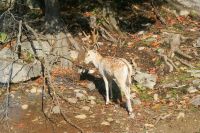 75  Omega Park &ndash; &copy; Susanne Schirmann (Eberhardt TRAVEL)