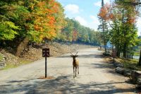 95  Omega Park &ndash; &copy; Susanne Schirmann (Eberhardt TRAVEL)