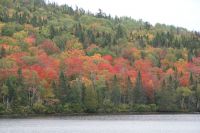 162 Indian Summer.