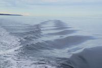 188 Whale Watching Tadoussac &ndash; &copy; Susanne Schirmann (Eberhardt TRAVEL)