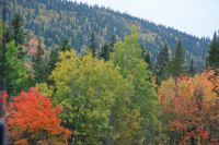 190 Indian Summer &ndash; &copy; Susanne Schirmann (Eberhardt TRAVEL)