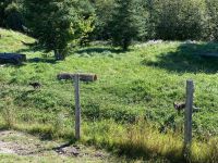 6. Reisetag – Parc Omega – Polarfüchse &ndash; &copy; Andreas Wolfsteller (Eberhardt TRAVEL)