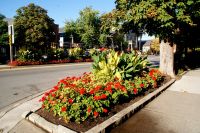 28 Niagara on the lake &ndash; &copy; Susanne Schirmann (Eberhardt TRAVEL)