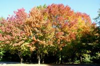 34 Indian Summer &ndash; &copy; Susanne Schirmann (Eberhardt TRAVEL)