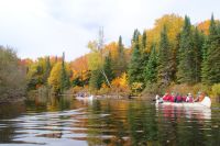 64  Kanu Tour Oxtongue Lake &ndash; &copy; Susanne Schirmann (Eberhardt TRAVEL)