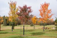 116 Omega Wildpark &ndash; &copy; Susanne Schirmann (Eberhardt TRAVEL)