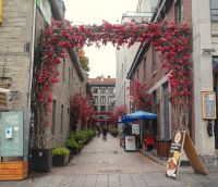 134 Altstadt Montreal &ndash; &copy; Susanne Schirmann (Eberhardt TRAVEL)