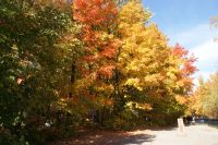 158 Indian Summer &ndash; &copy; Susanne Schirmann (Eberhardt TRAVEL)
