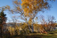 165 Indian Summer &ndash; &copy; Susanne Schirmann (Eberhardt TRAVEL)
