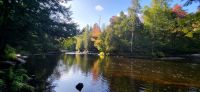 53 Wanderung Oxtongue River Ragged Falls &ndash; &copy; Susanne Schirmann (Eberhardt TRAVEL)