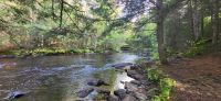 55 Wanderung Oxtongue River Ragged Falls &ndash; &copy; Susanne Schirmann (Eberhardt TRAVEL)